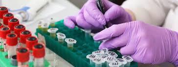 Короновирус продолжает аттаковать Питер и Москву.