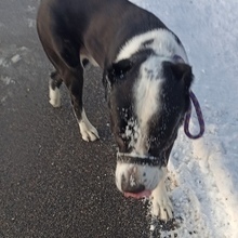 Анастасия, г. Санкт-Петербург