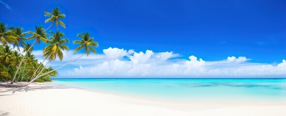 Панорамная фотография - это ...