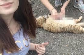 Жестокое обращение с животными