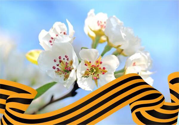 Майские праздники 2023: официальные выходные, как отдыхаем на майские, сколько праздничных выходных дней, будут ли длительные майские каникулы