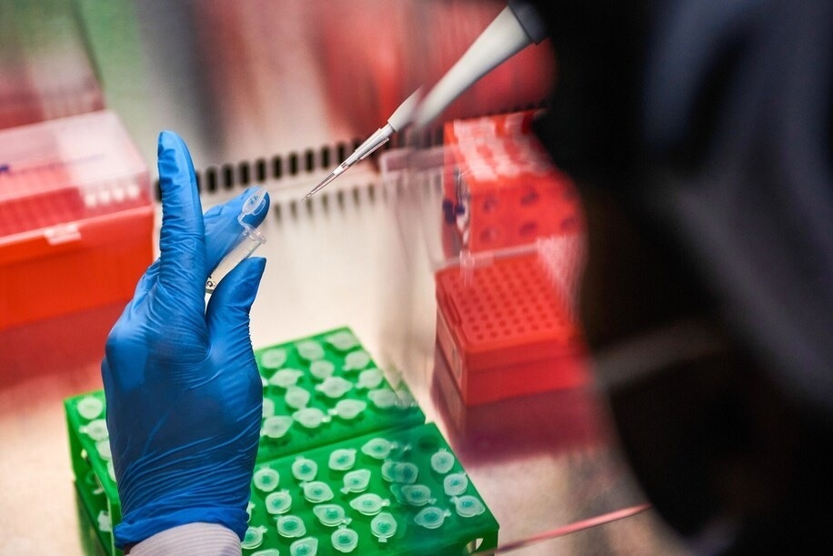 Новый штамм коронавируса, который отслеживает ВОЗ