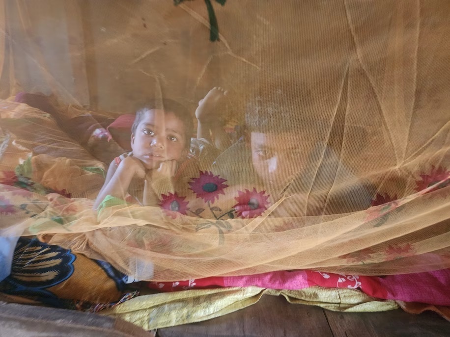 Население Индии уже превышает население Китая