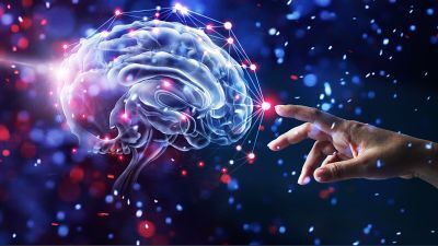 Наш мозг и Вселенная