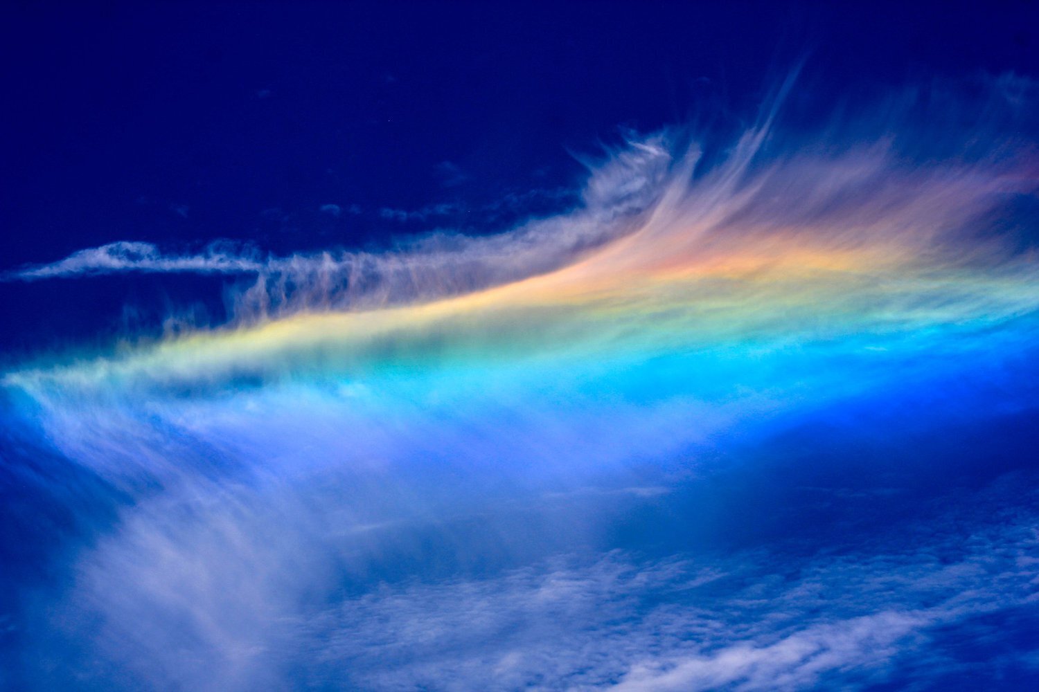 Интересный факт, который вы могли не знать