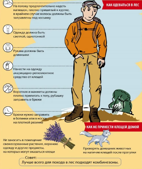 Они проснулись и очень опасны. Таежные кровососы с новым вирусом Хасеки