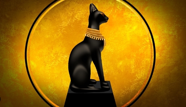 Дневник самоубийцы. Или как Я стал котом.