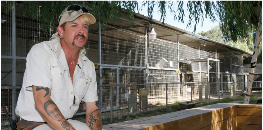 Экзотик поблагодарил Трампа за доверие