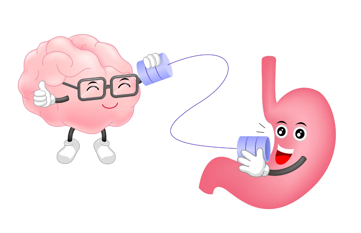 Желудок умнее мозга картинки