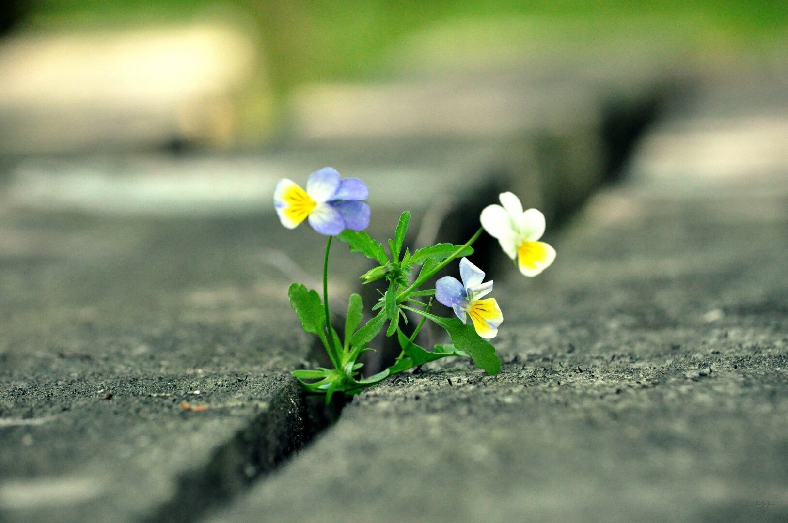 Умей быть счастливым. "Тихо о важном" - 10ть писем поддержки и мотивации для тех, кто дорог.