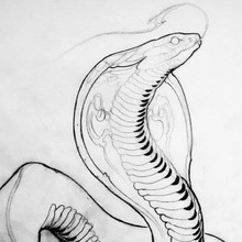 Dante, г. Москва