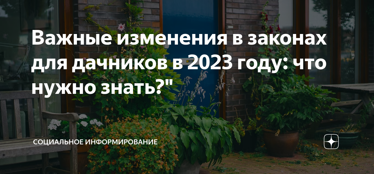 Штраф за мяту на участке дачникам 2024. Новые законы для дачников. Новые законы дачникам 2024.