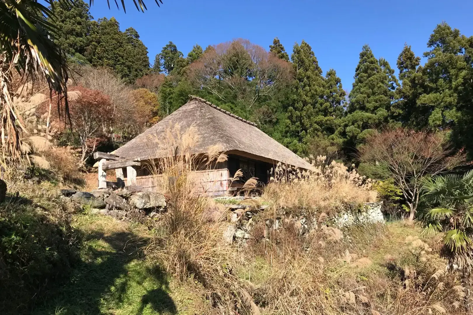 В Японии миллионы пустующих домов. Хотите купить один за 25 000 долларов?