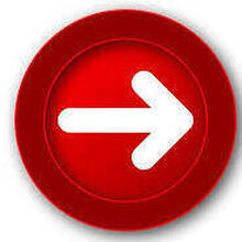 Ammi, г. Кострома