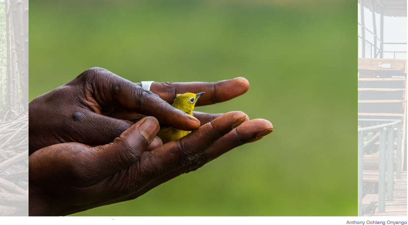 Этот кенийский фотограф хочет, чтобы другие увидели охрану природы через другой объектив