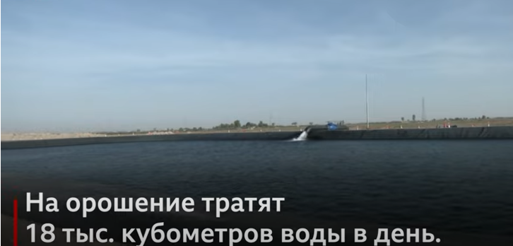 Нестандартные решения привели к тому, что в Арабских Эмиратах стали выращивать пшеницу.