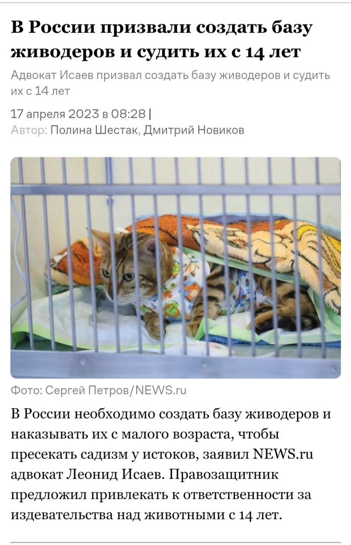 Что же с нами делается? Куда идём? И верим во что?