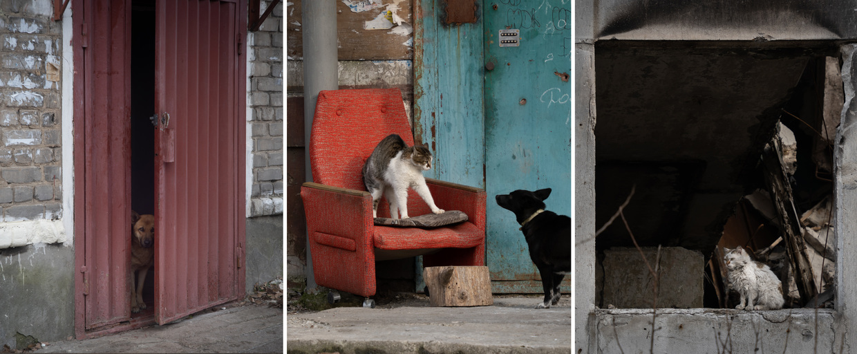 ФОТОРЕПОРТАЖ: Как возвращается к жизни важный город в Луганской области, разрушенный отступающими украинскими войсками.