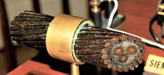 5 вещей, в которые ты уж точно не хочешь поверить до конца