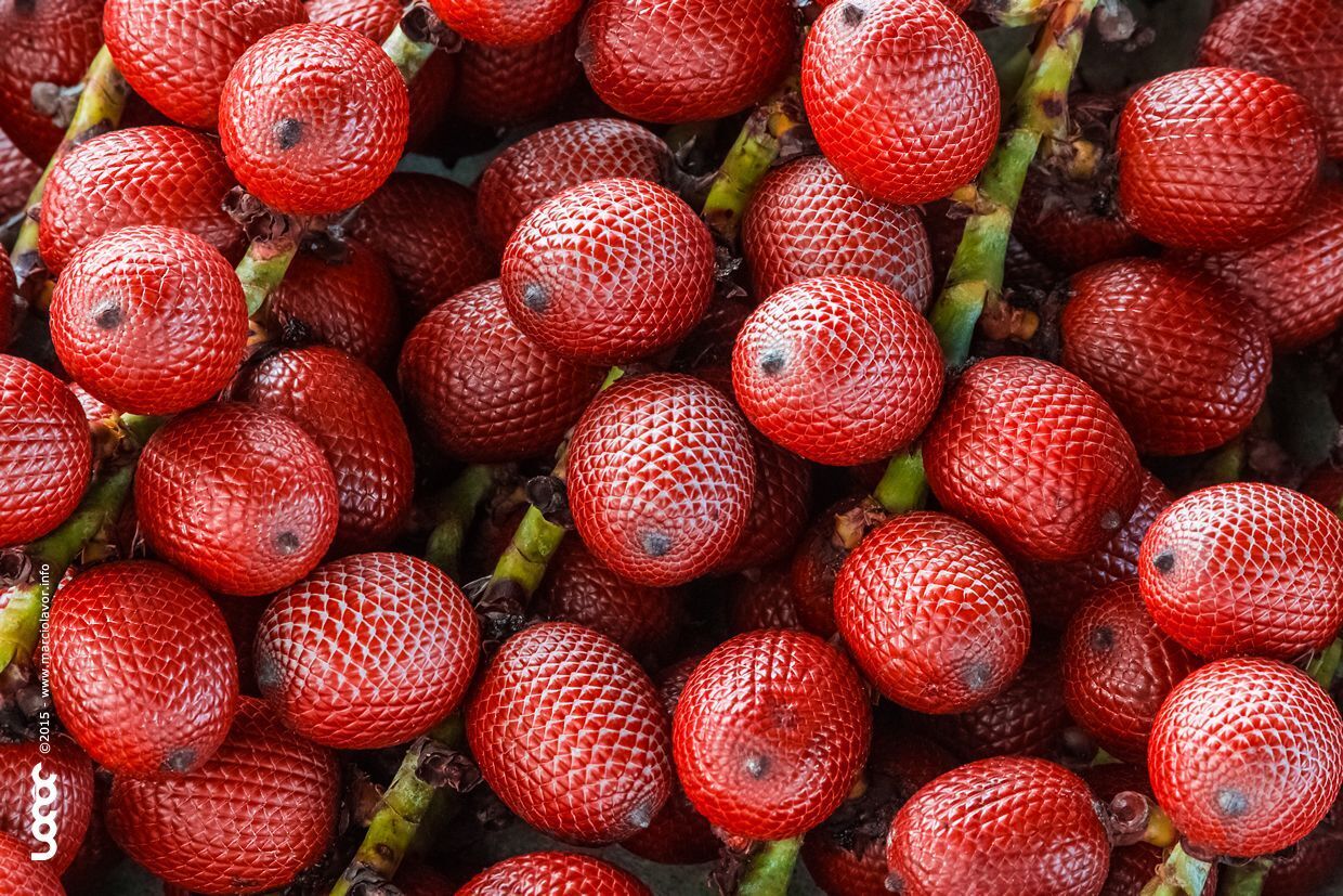 Агуахе – суперфрукт молодости и красоты!