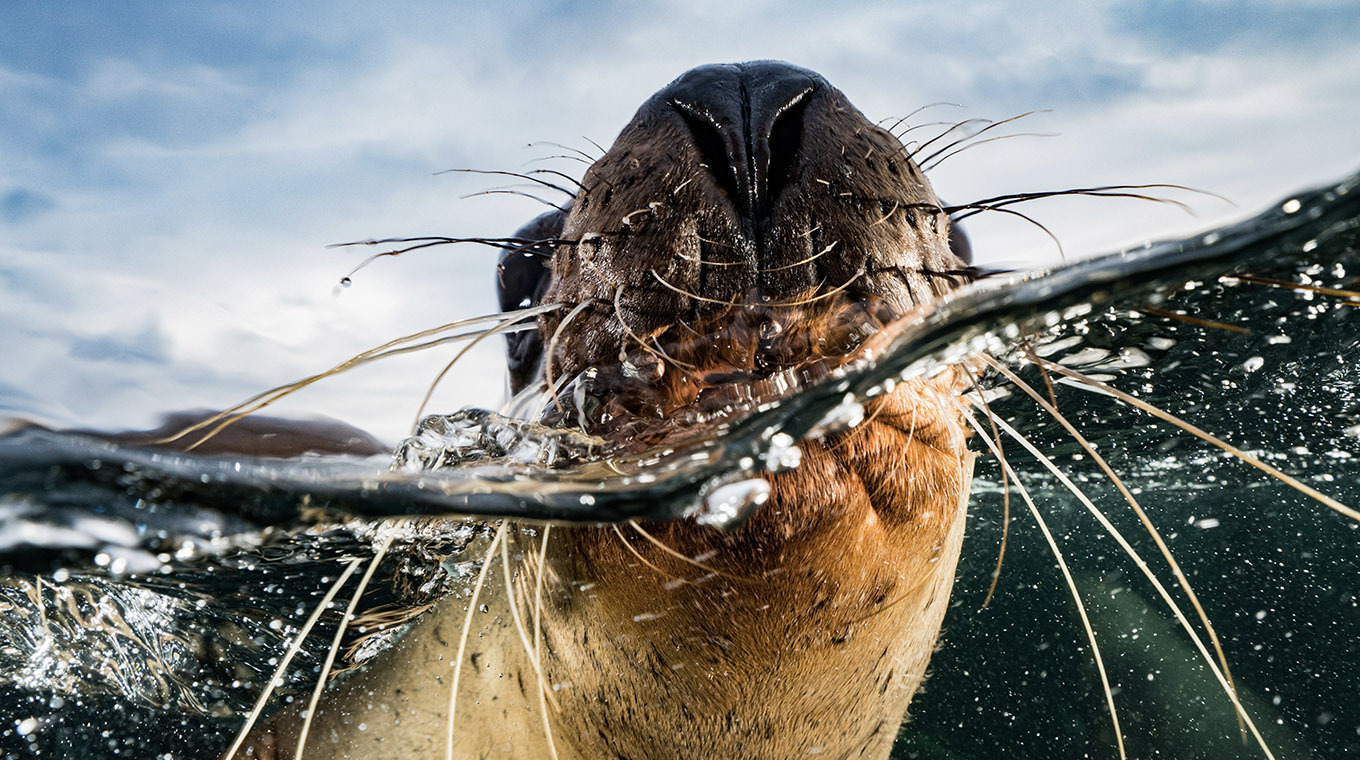 Как мы видим океаны - в фотографиях, просто красивые фото