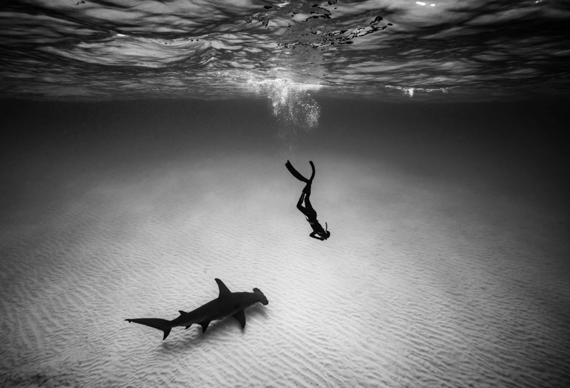 Как мы видим океаны - в фотографиях, просто красивые фото