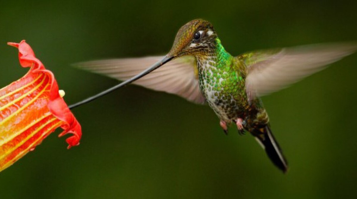 Как мы видим океаны - в фотографиях, просто красивые фото