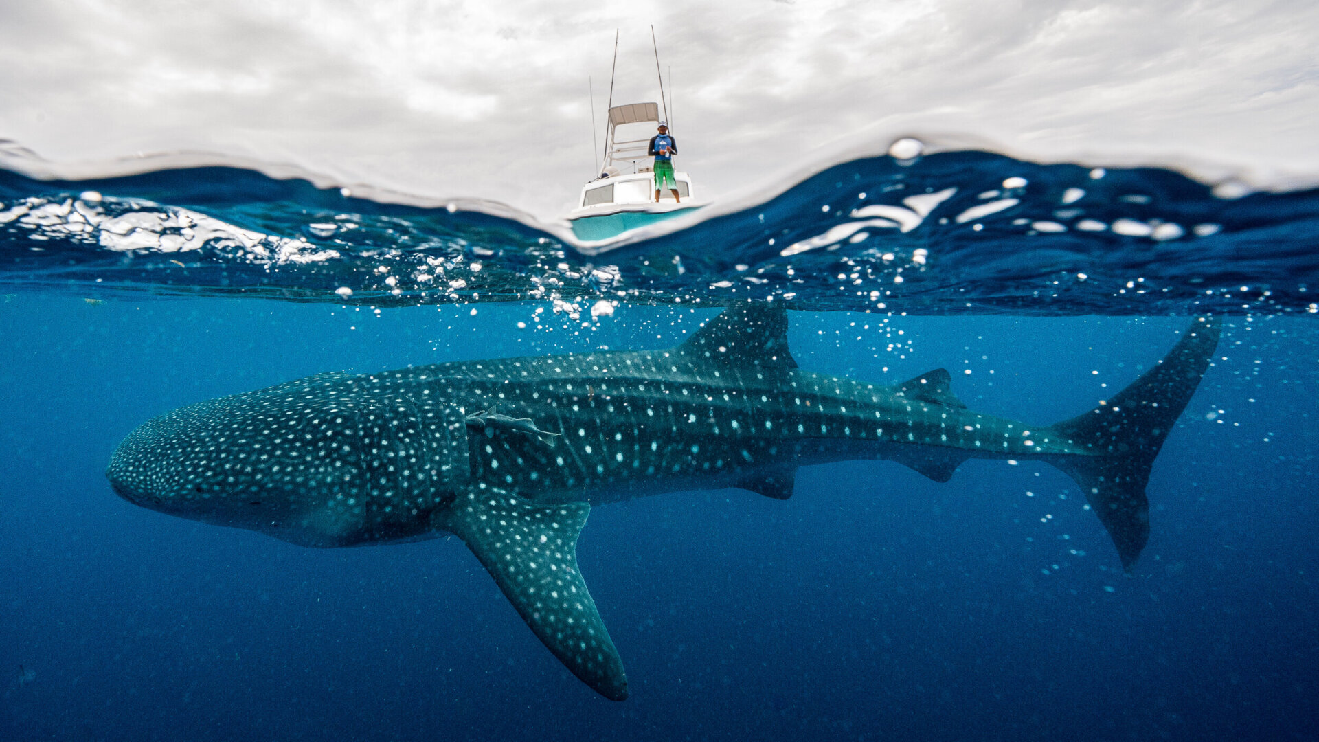 Как мы видим океаны - в фотографиях, просто красивые фото