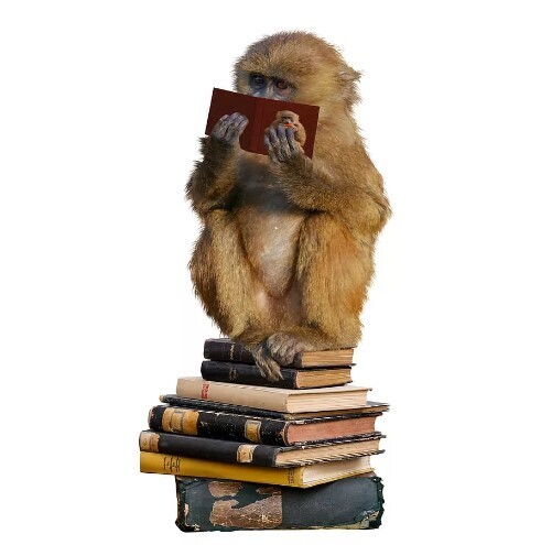 Почему диплом с отличием не гарантирует успех в будущем