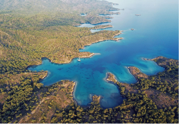 Миссия героя-эколога - спасти самое переловленное море в мире