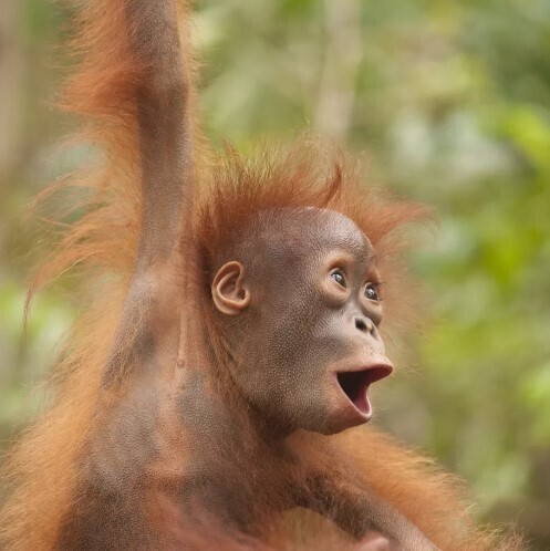 Почему диплом с отличием не гарантирует успех в будущем