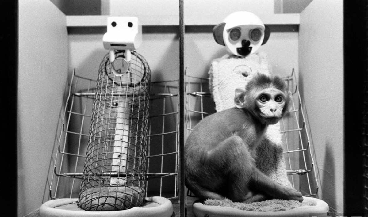 Эти варварские эксперименты ошарат любого! Насколько были безумны и жестоки методы исследований ради науки! Не пропустите!