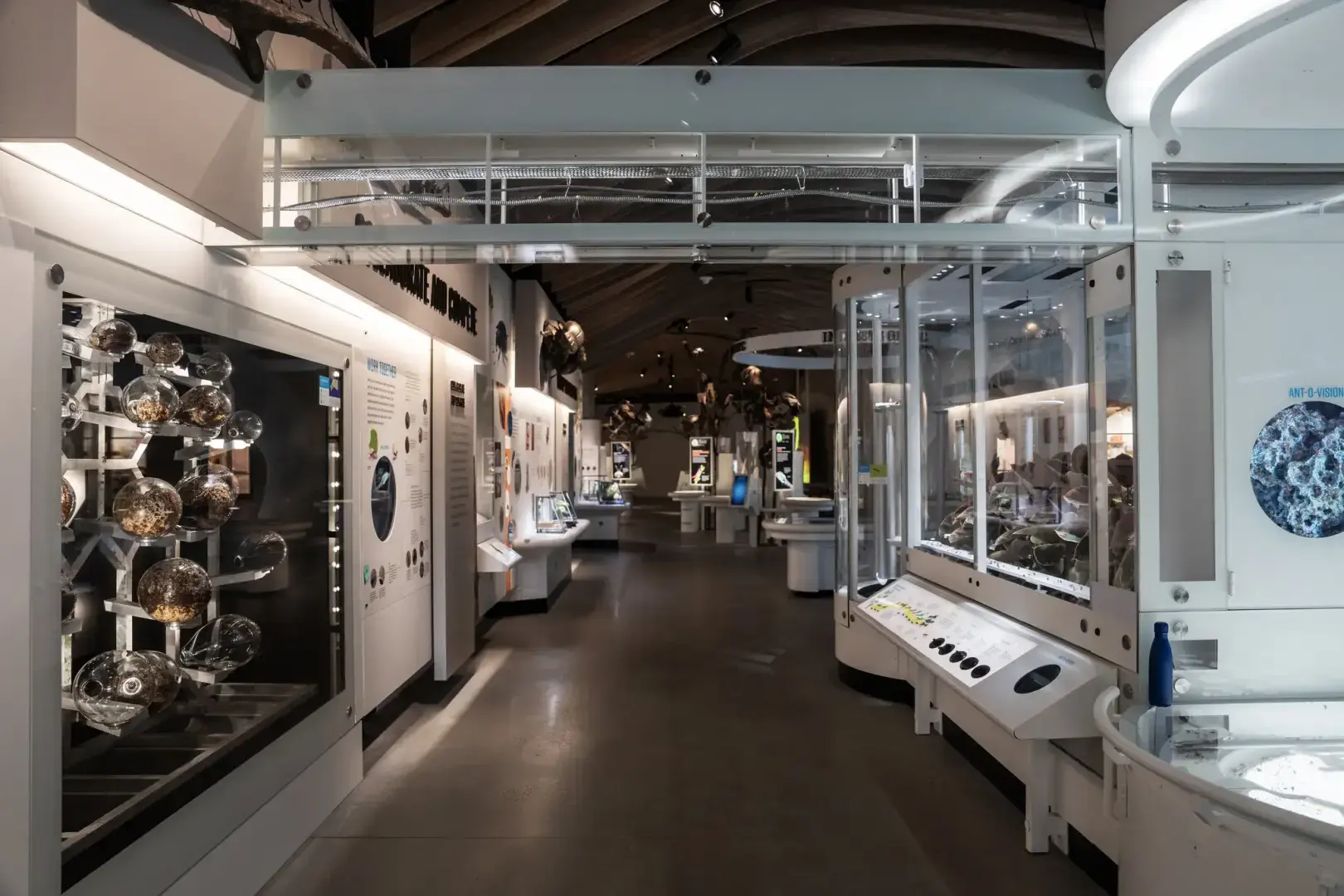 Внутри схватки, чтобы полмиллиона муравьев чувствовали себя как дома