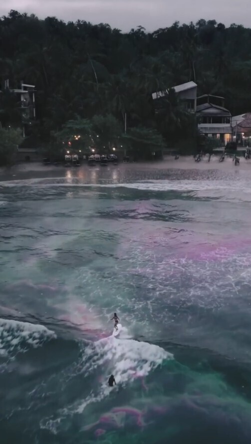 Серф-туризм на Шри-Ланке: как освоить этот вид спорта