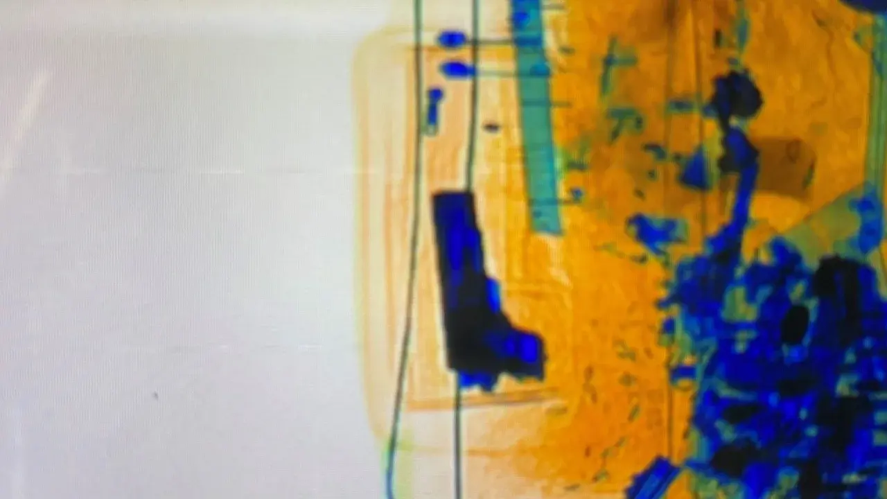 Американка арестована в Сиднее после того, как сотрудники аэропорта нашли в ее багаже золотой пистолет