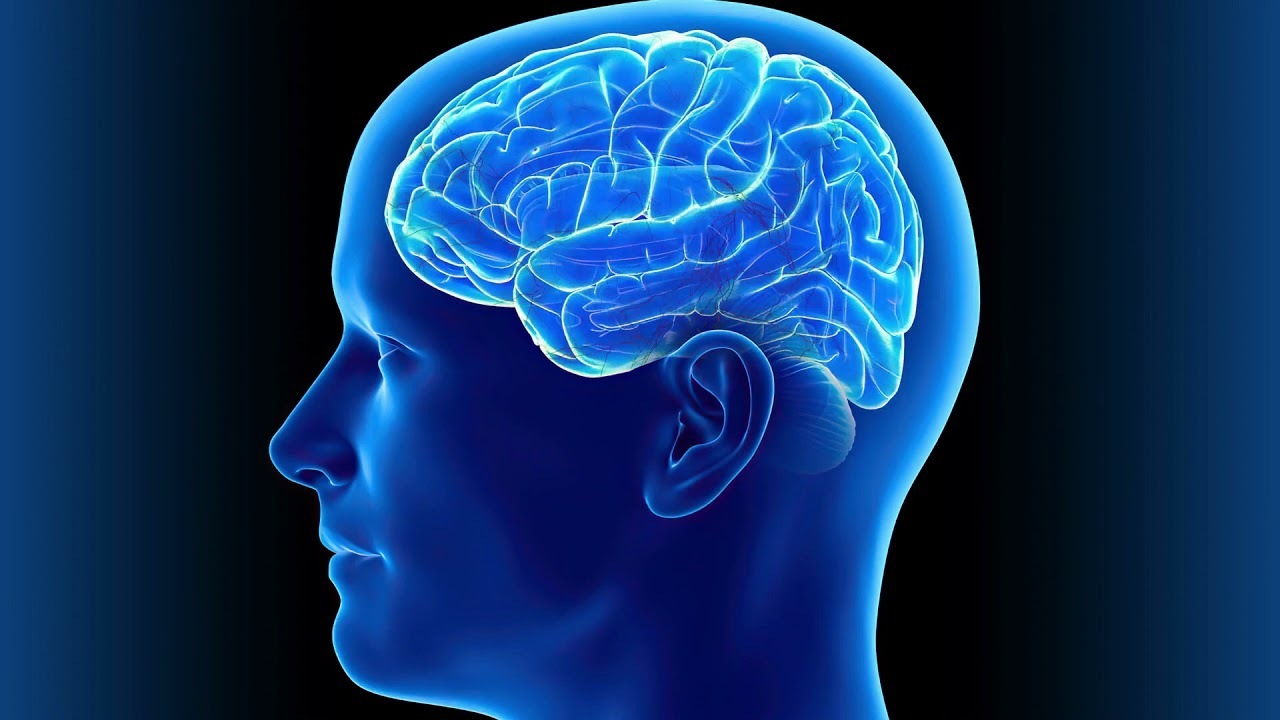 Почему бананы обязательно нужно включить в свой рацион!?!