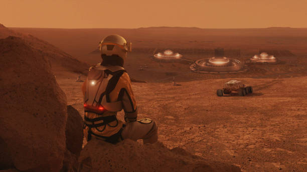 Топ-5 самых глупых поступков, которые мы совершили как общество