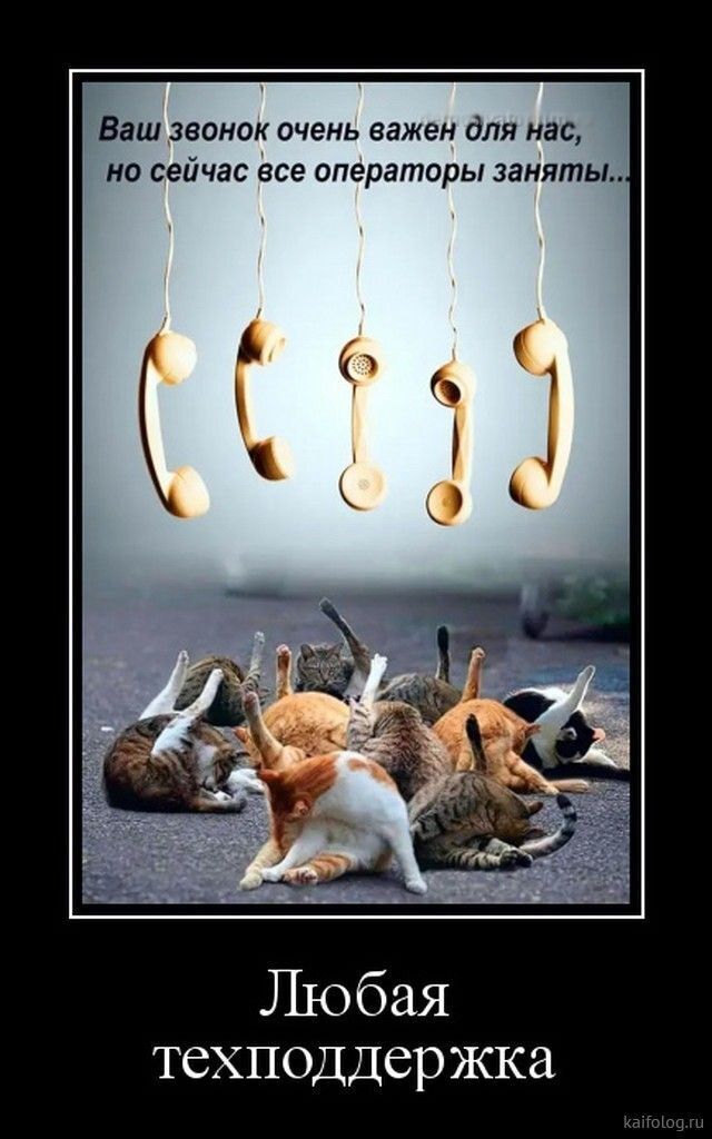 Весёлые картинки (часть 49)