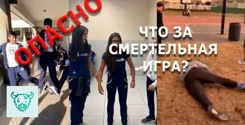 Топ-5 самых глупых интернет-задач за всю историю