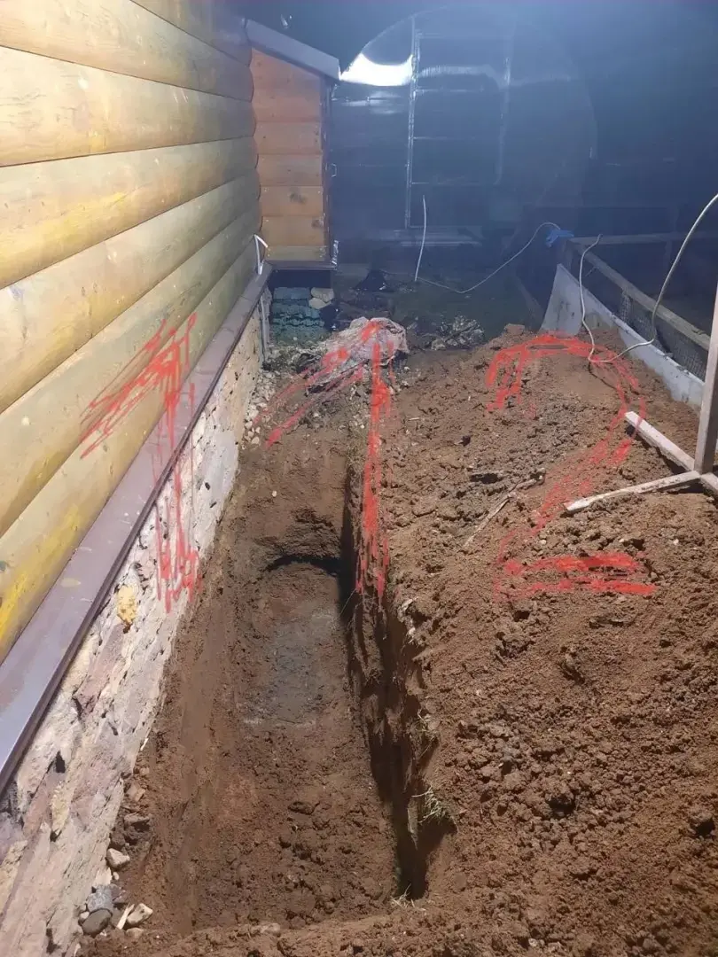 Жуткая история из Подмосковья потрясла всю страну. Трагический конец нашли мать с дочкой, которые пропали. Их тела были найдены за сараем