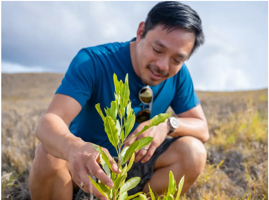 Бывшего гендиректора Reddit посоветовали начинать работу над ИИ