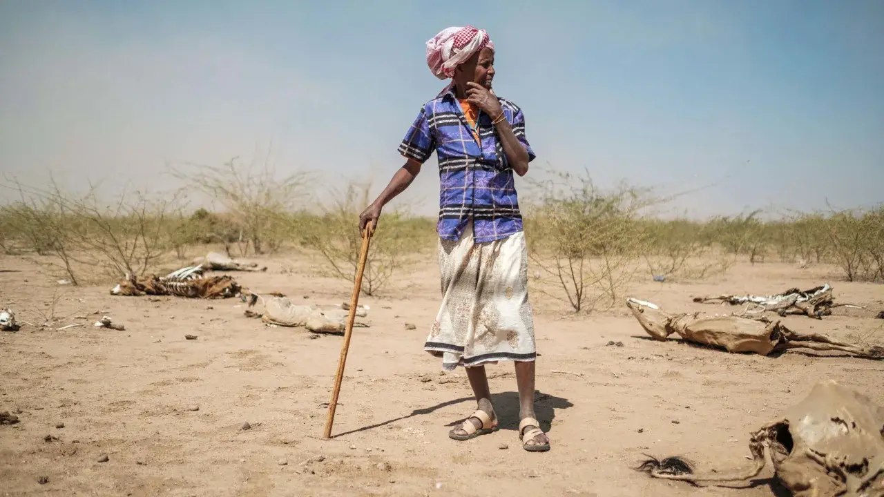 Катастрофическая засуха, которая привела к кризису миллионы людей, в 100 раз более вероятна из-за изменения климата, показал анализ