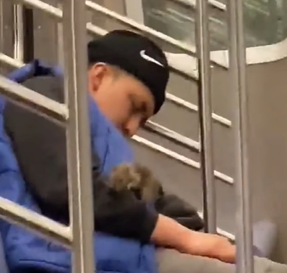 В метро Нью-йорка крысы, как домашние животные!!!