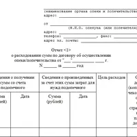 vazhnoe-pro-pensiyu-opekunam-invalidov7.png