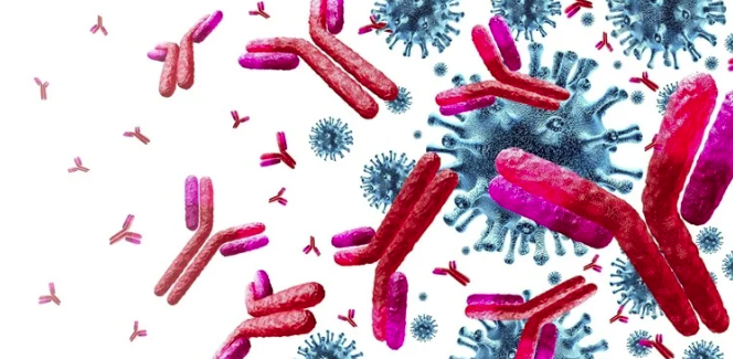 Расшифровка иммунологического импринтинга в контексте COVID-19