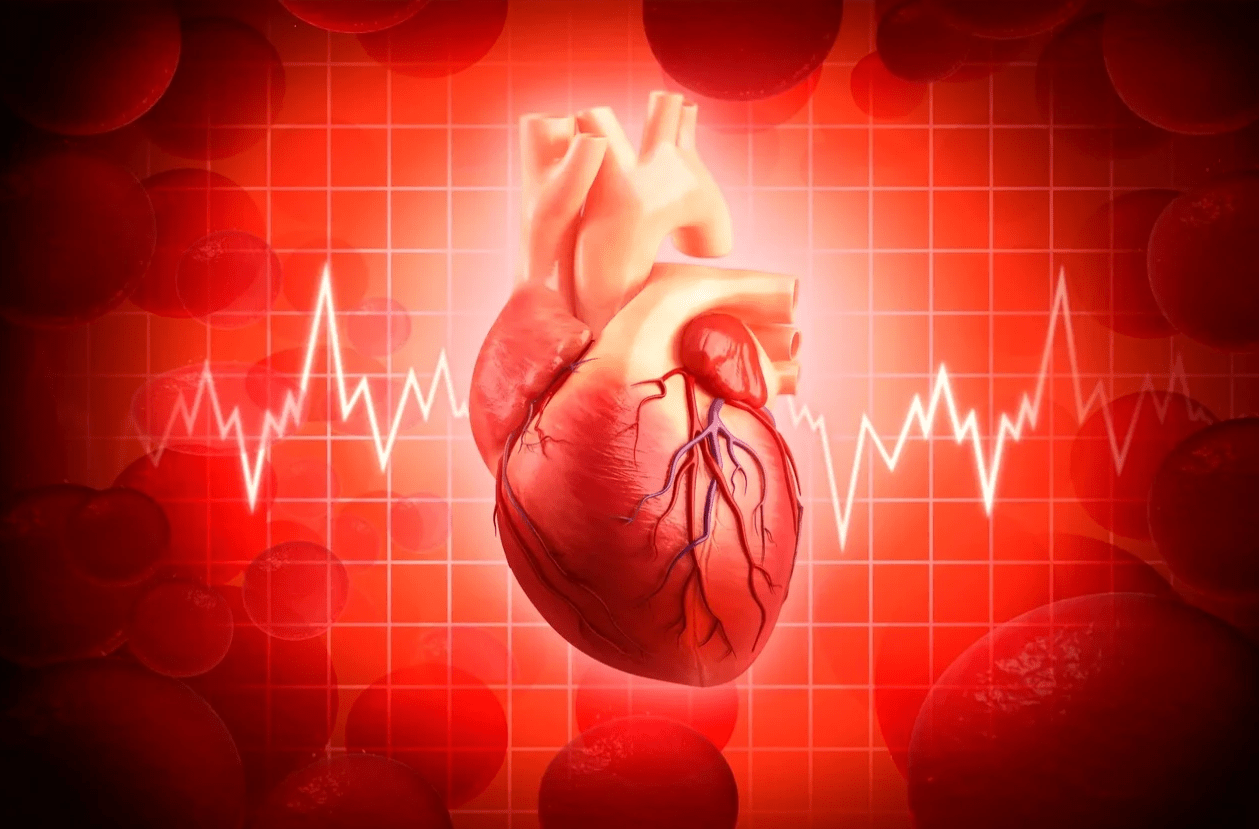 Восстановление правильного сердечного ритма