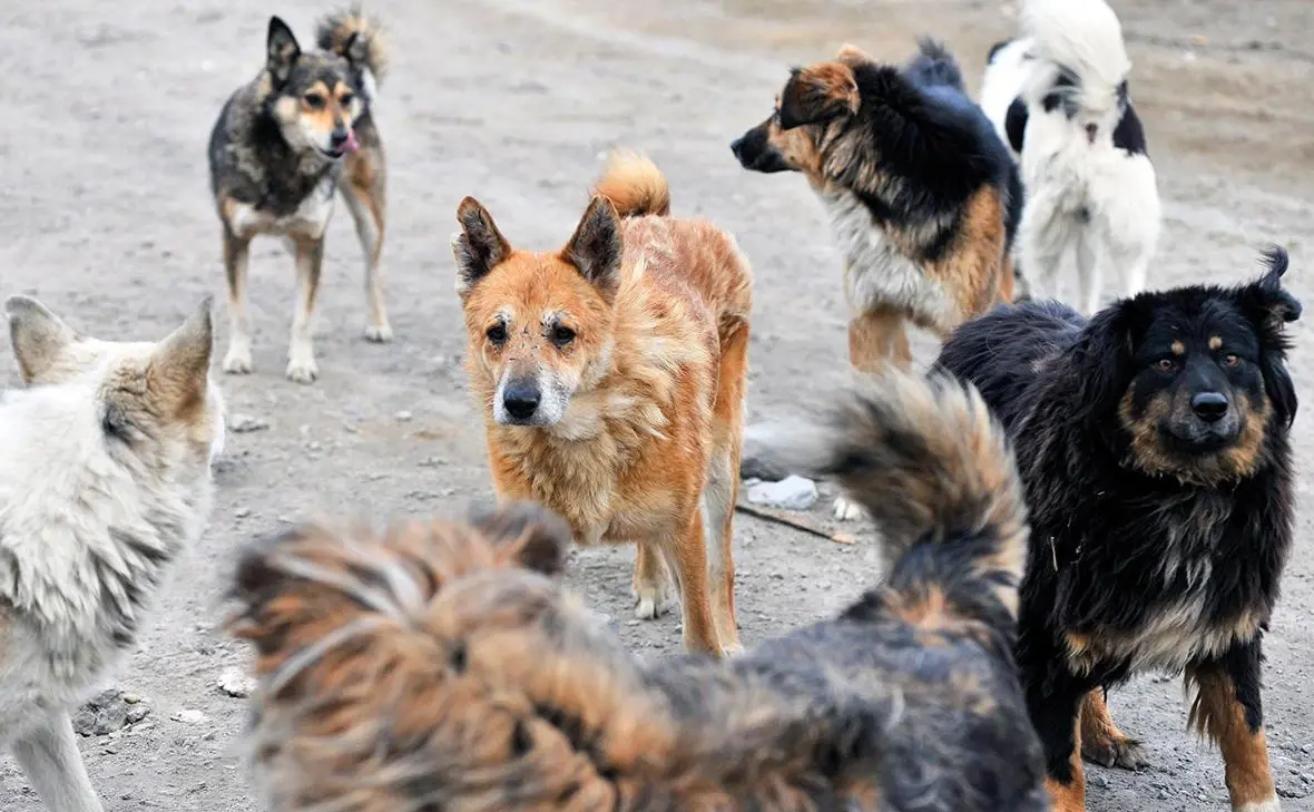 У нас есть свой личный ад и рай. Добро пожаловать