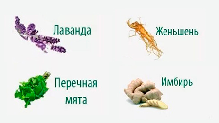 Как преодолеть головную боль без употребления таблеток?