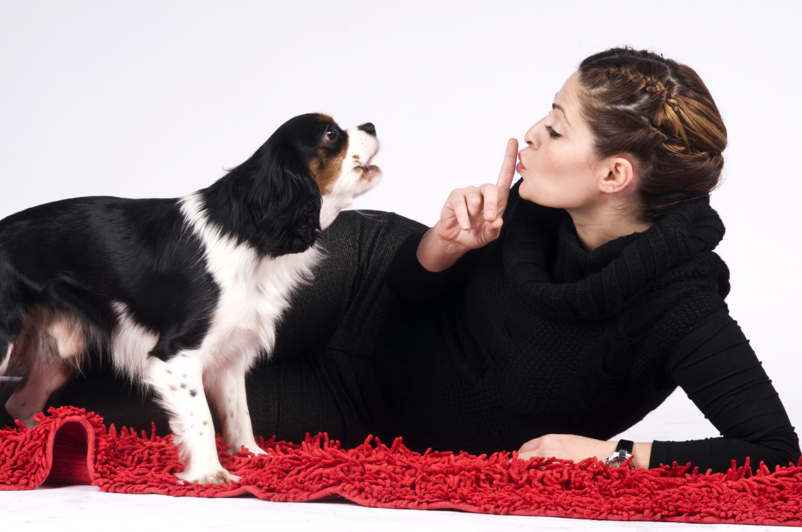 Если у соседей круглые сутки лает собака. От этого можно сойти с ума! Что делать?