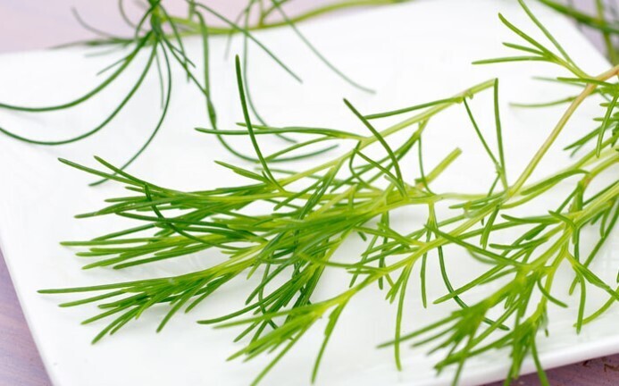 5 необычных трав. Знаете ли вы их?